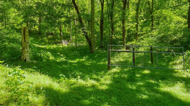 2431 Free State Rd, Gainesboro, TN 38562