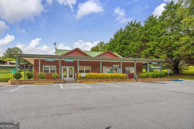 106 River Vista Drive, Dillard, GA 30537