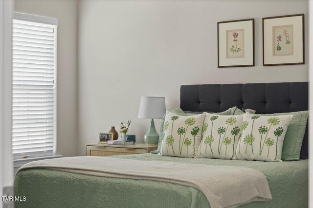 1507 East Millard Street, Johnson City, TN 37601