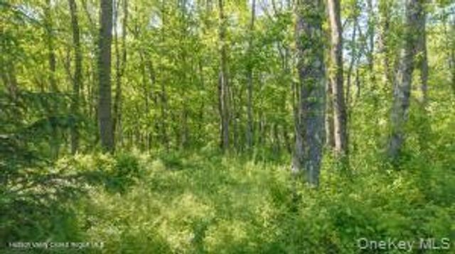 884 Camby Road, Millbrook, NY 12545