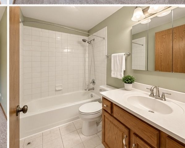 115 Seton Creek Drive, Oswego, IL 60543