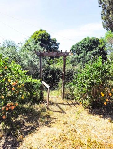 5603 Winchester St, San Diego, CA 92139