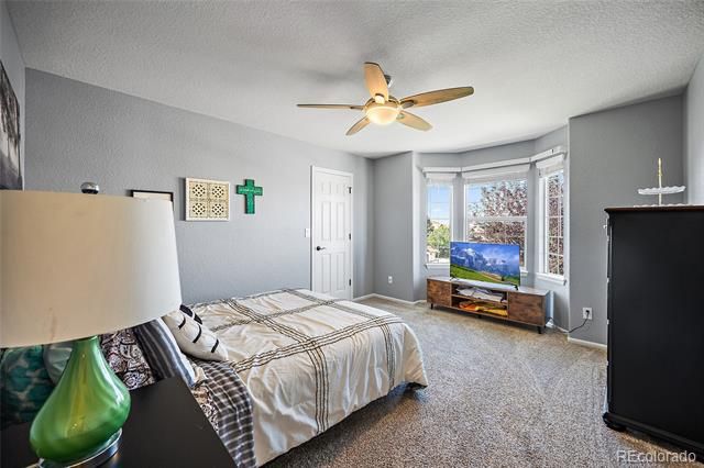 23450 Bent Oaks Way, Parker, CO 80138