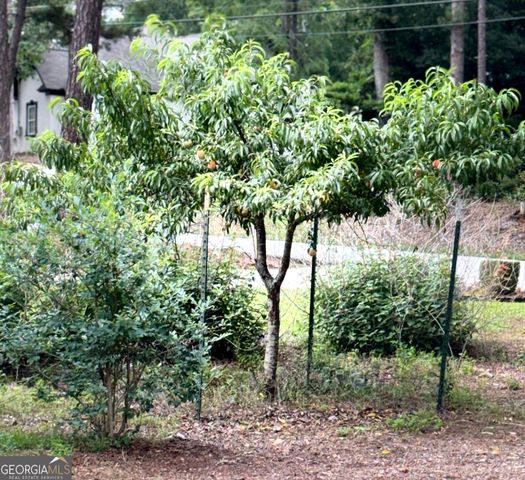 2904 Union Grove Road, Conyers, GA 30012