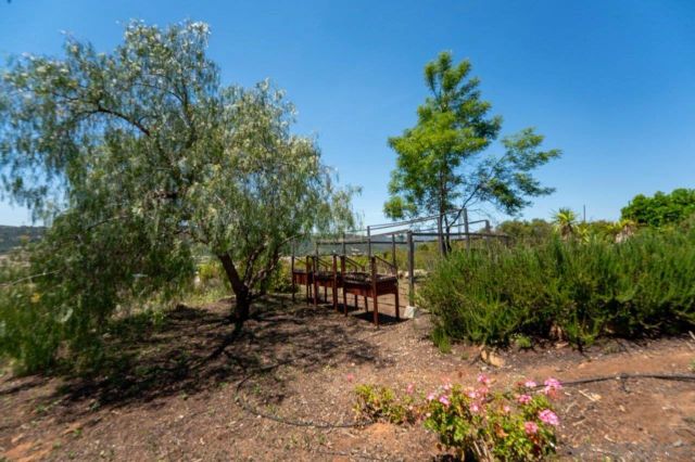 28149 Orange Terrace, Valley Center, CA 92082