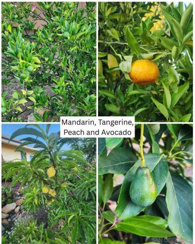 28149 Orange Terrace, Valley Center, CA 92082