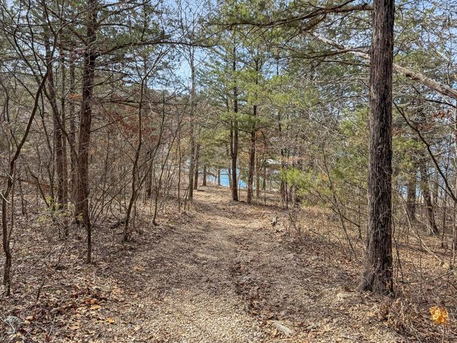 110 Kimberling Shores Lane Lane 6, Kimberling City, MO 65686