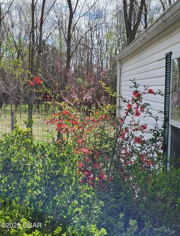 8350 County Lane 284, Carl Junction, MO 64834