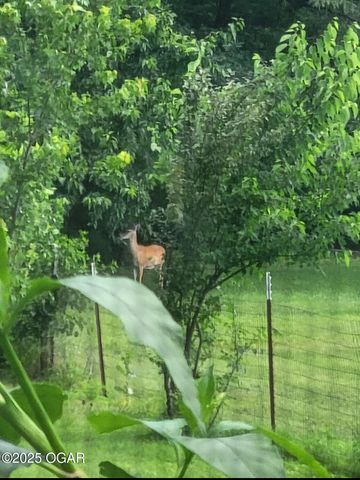 8350 County Lane 284, Carl Junction, MO 64834