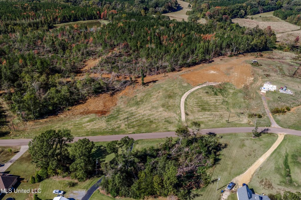 131 Waverly Circle, Senatobia, MS 38668 — photo 3
