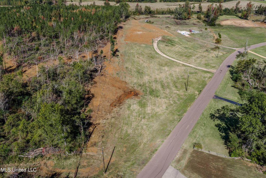131 Waverly Circle, Senatobia, MS 38668 — photo 5