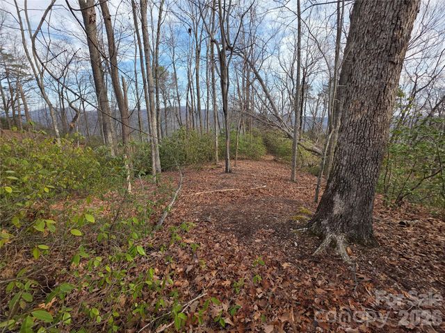 Lot 45 Ridgecrest Drive, Lake Lure, NC 28746