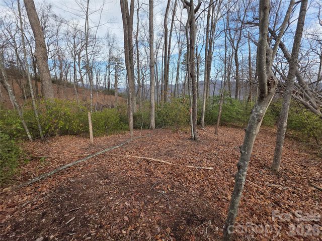 Lot 45 Ridgecrest Drive, Lake Lure, NC 28746
