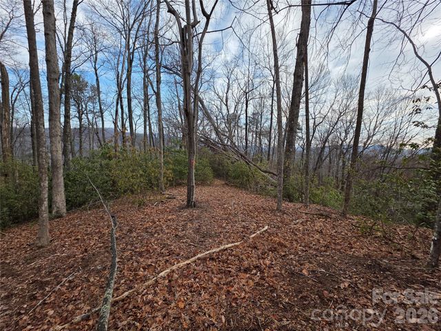 Lot 45 Ridgecrest Drive, Lake Lure, NC 28746