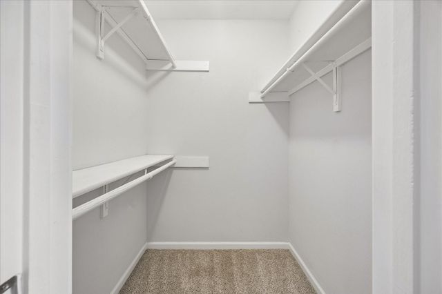 402 Tuam Street 3, Houston, TX 77006
