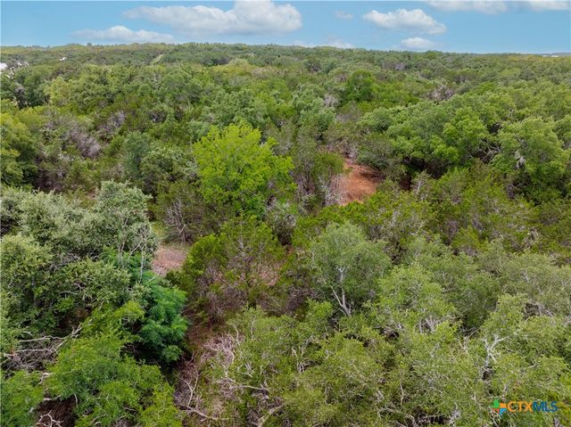 250 E Ridgewood Road, Georgetown, TX 78633