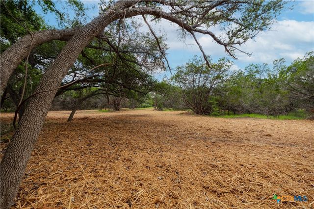 250 E Ridgewood Road, Georgetown, TX 78633