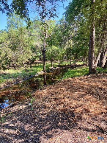 250 E Ridgewood Road, Georgetown, TX 78633