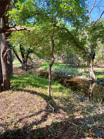 250 E Ridgewood Road, Georgetown, TX 78633