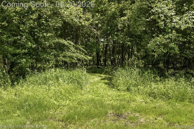 6132 Lange Road, Iosco Township, MI 48843
