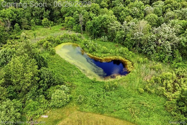 6132 Lange Road, Iosco Township, MI 48843