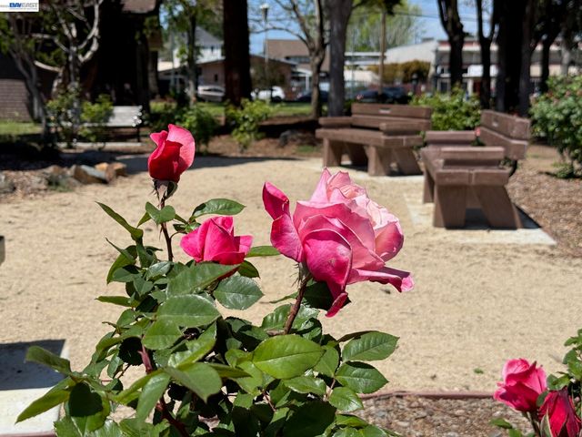 3287 Briggs Ave, Alameda, CA 94501
