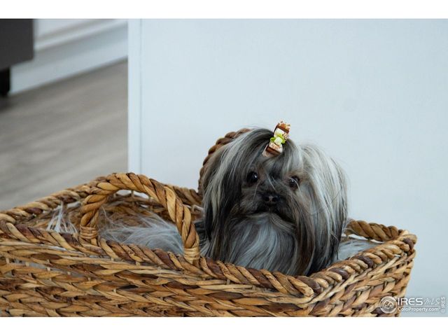 420 E 57th St 104, Loveland, CO 80538