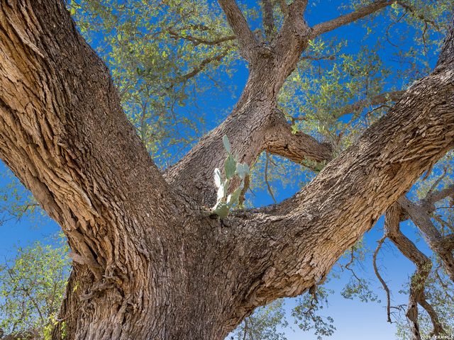 21419 us highway 90, Sabinal, TX 78881