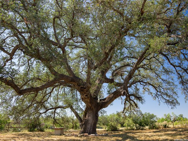 21419 us highway 90, Sabinal, TX 78881