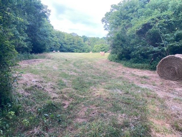 334 Cathcart Rd, Frankewing, TN 38459