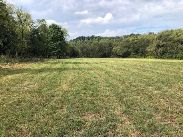 334 Cathcart Rd, Frankewing, TN 38459