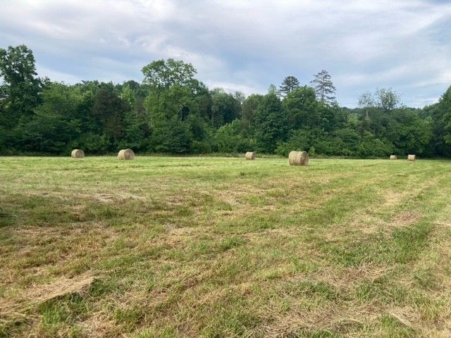 334 Cathcart Rd, Frankewing, TN 38459