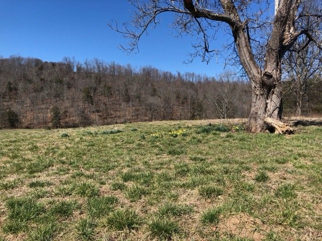 334 Cathcart Rd, Frankewing, TN 38459