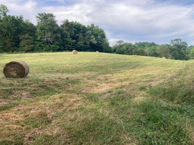 334 Cathcart Rd, Frankewing, TN 38459