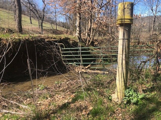 334 Cathcart Rd, Frankewing, TN 38459