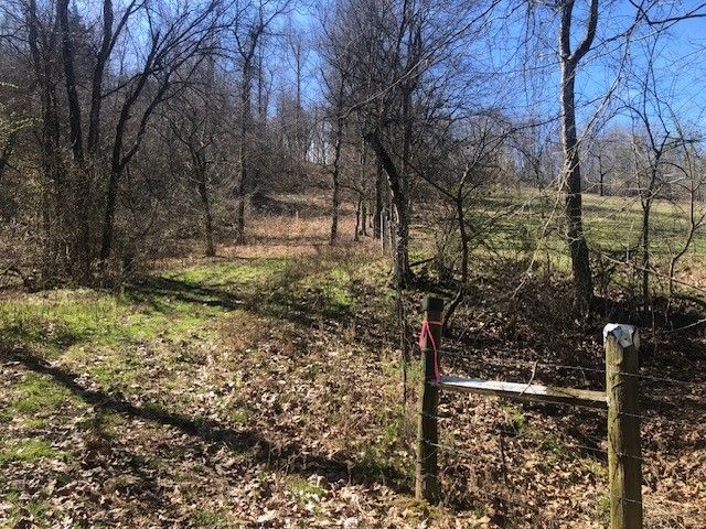 334 Cathcart Rd, Frankewing, TN 38459