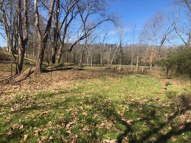 334 Cathcart Rd, Frankewing, TN 38459