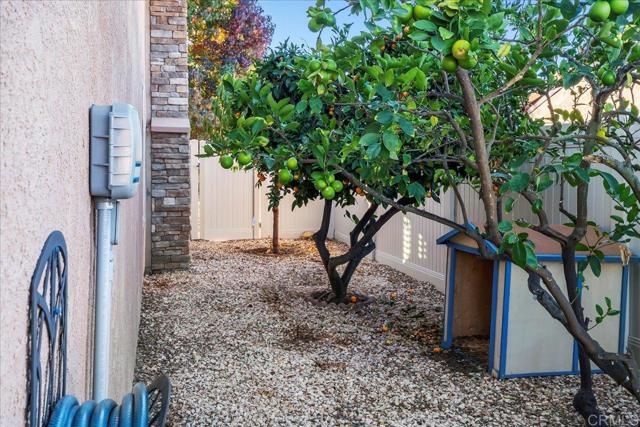 14276 Jennings Vista Way, Lakeside, CA 92040