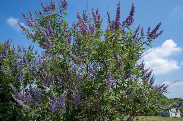 194 Rabbit TRL, Dale, TX 78616