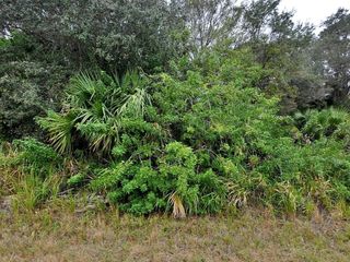 BREWSTER LOT #8 ROAD, North Port, FL 34288