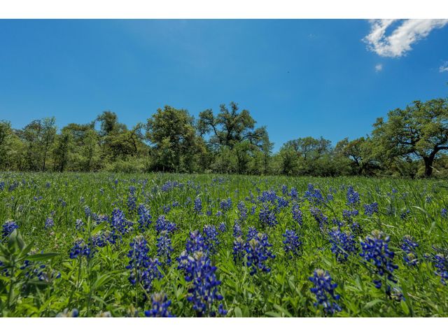 30201 LIVE OAK TRL, Georgetown, TX 78633