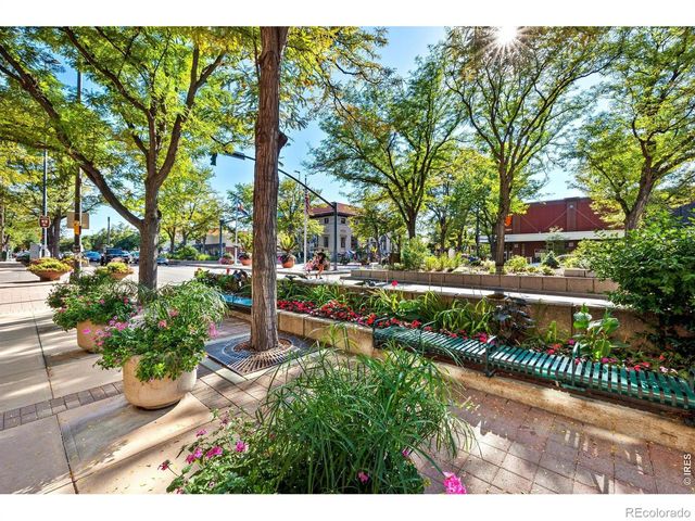 1014 Andrews Peak Drive, Fort Collins, CO 80521