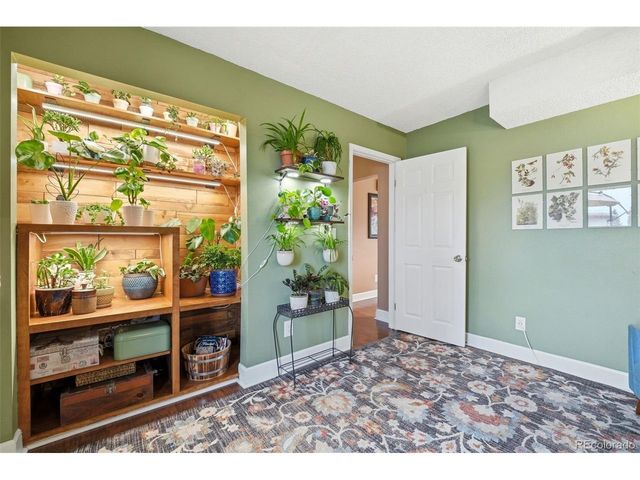 805 Gigi St, Castle Rock, CO 80104