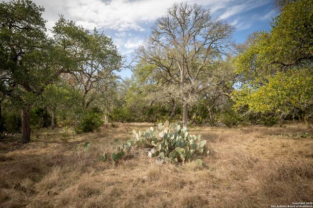 360 Kirk Ln, Bulverde, TX 78163