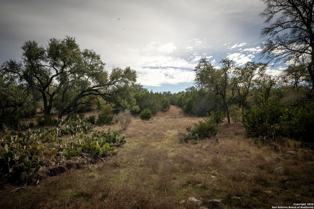 360 Kirk Ln, Bulverde, TX 78163