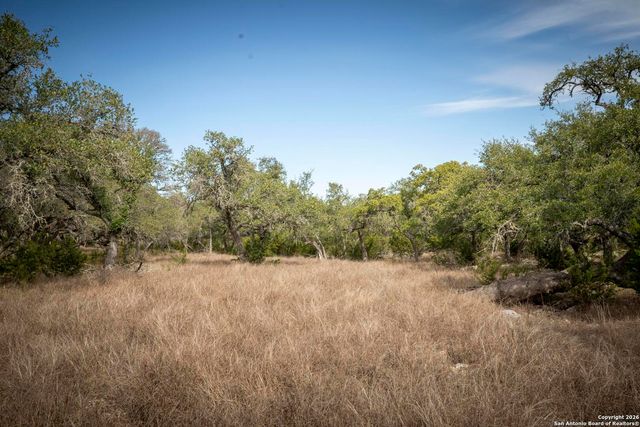 360 Kirk Ln, Bulverde, TX 78163