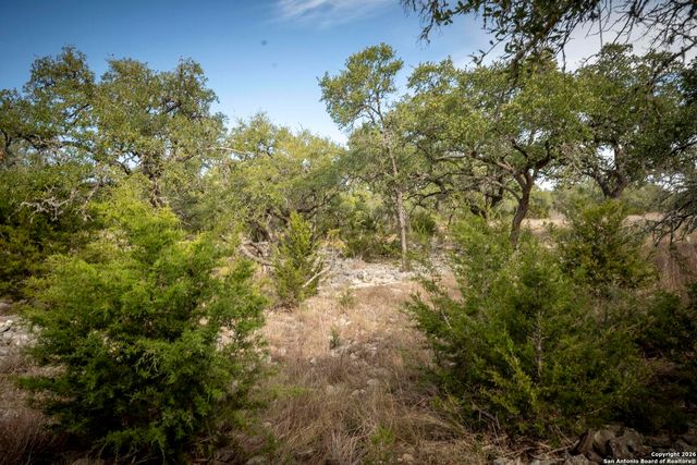 360 Kirk Ln, Bulverde, TX 78163