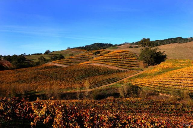 390 Treehaven Ln, Kenwood, CA 95452