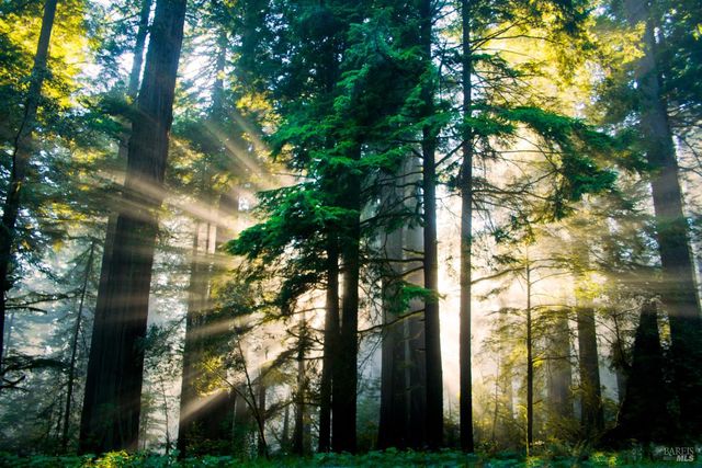 390 Treehaven Ln, Kenwood, CA 95452