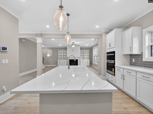 20 Elk Run Court, Chapin, SC 29036